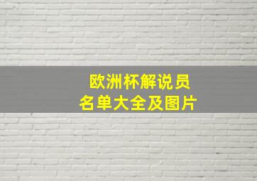 欧洲杯解说员名单大全及图片