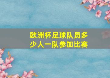 欧洲杯足球队员多少人一队参加比赛