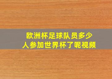 欧洲杯足球队员多少人参加世界杯了呢视频