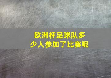 欧洲杯足球队多少人参加了比赛呢