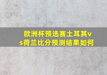 欧洲杯预选赛土耳其vs荷兰比分预测结果如何