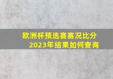 欧洲杯预选赛赛况比分2023年结果如何查询