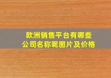 欧洲销售平台有哪些公司名称呢图片及价格