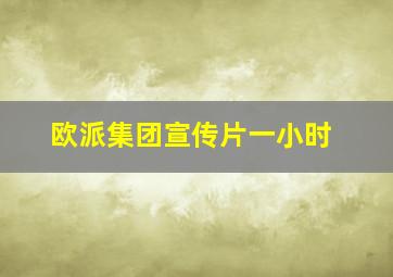 欧派集团宣传片一小时