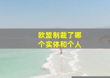 欧盟制裁了哪个实体和个人