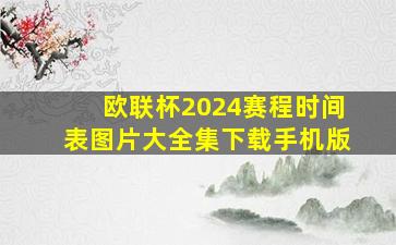 欧联杯2024赛程时间表图片大全集下载手机版