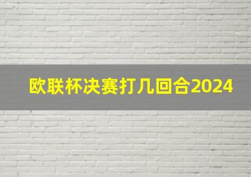 欧联杯决赛打几回合2024