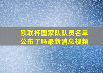 欧联杯国家队队员名单公布了吗最新消息视频