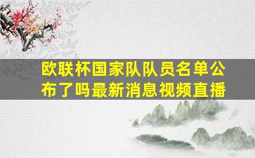 欧联杯国家队队员名单公布了吗最新消息视频直播