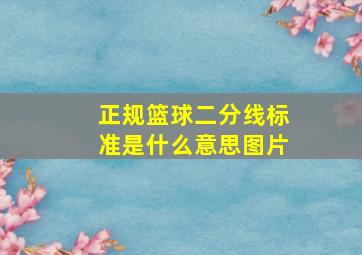 正规篮球二分线标准是什么意思图片