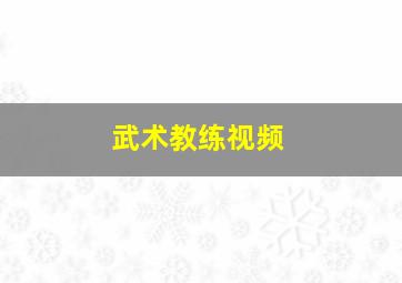 武术教练视频