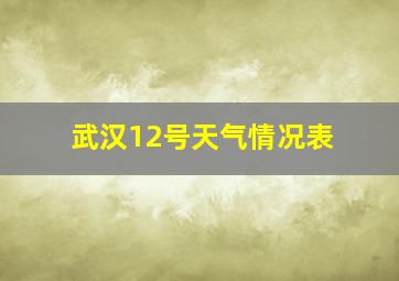 武汉12号天气情况表