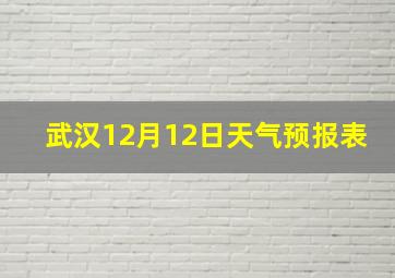 武汉12月12日天气预报表