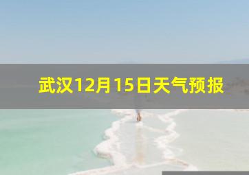 武汉12月15日天气预报