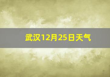 武汉12月25日天气