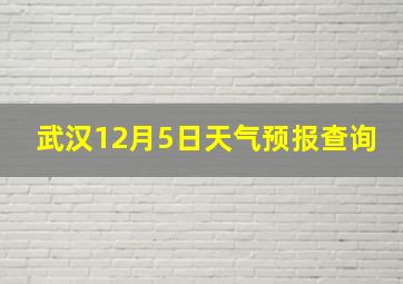 武汉12月5日天气预报查询