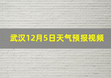 武汉12月5日天气预报视频