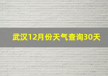 武汉12月份天气查询30天