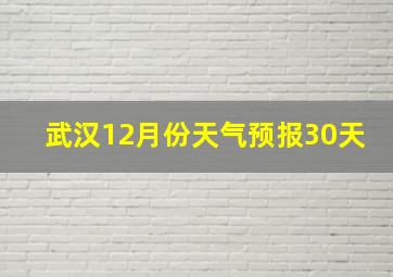 武汉12月份天气预报30天