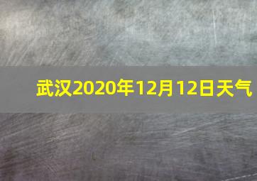 武汉2020年12月12日天气