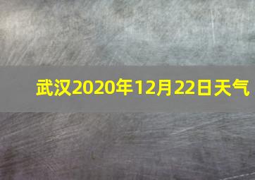 武汉2020年12月22日天气