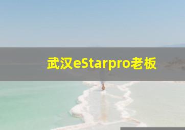 武汉eStarpro老板