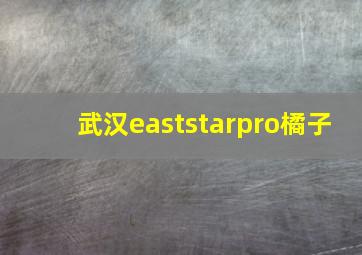 武汉eaststarpro橘子