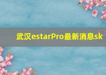 武汉estarPro最新消息sk