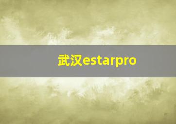 武汉estarpro