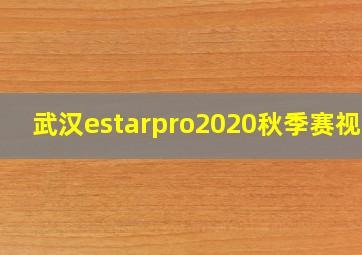 武汉estarpro2020秋季赛视频