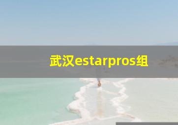 武汉estarpros组