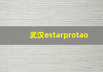 武汉estarprotao