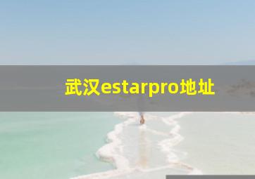 武汉estarpro地址