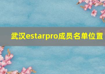 武汉estarpro成员名单位置