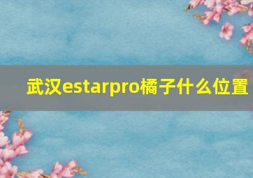 武汉estarpro橘子什么位置