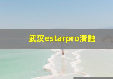 武汉estarpro清融