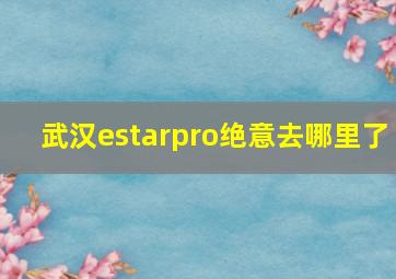 武汉estarpro绝意去哪里了