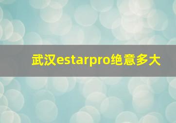 武汉estarpro绝意多大