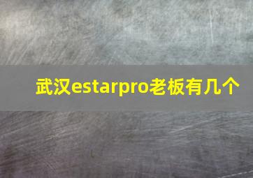 武汉estarpro老板有几个