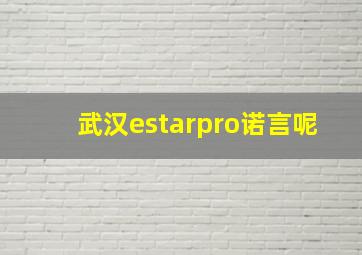 武汉estarpro诺言呢