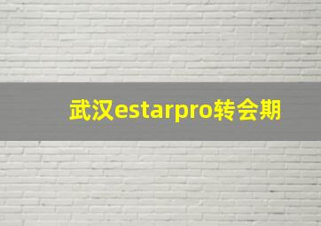 武汉estarpro转会期