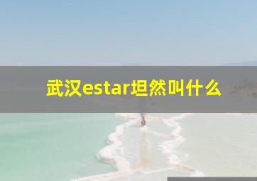 武汉estar坦然叫什么