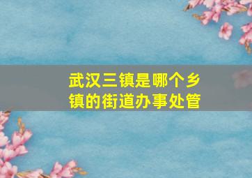 武汉三镇是哪个乡镇的街道办事处管