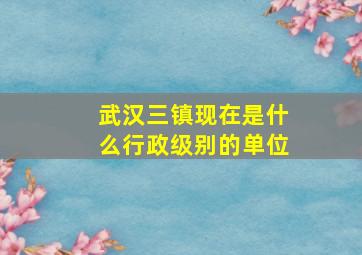 武汉三镇现在是什么行政级别的单位