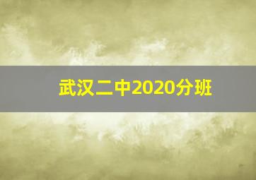 武汉二中2020分班