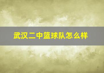 武汉二中篮球队怎么样