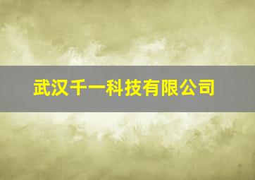 武汉千一科技有限公司