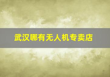 武汉哪有无人机专卖店