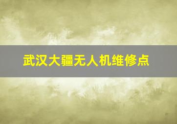 武汉大疆无人机维修点