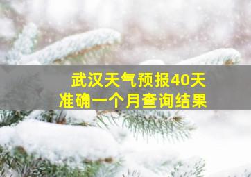 武汉天气预报40天准确一个月查询结果